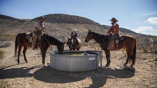 horses drinking water in mountains