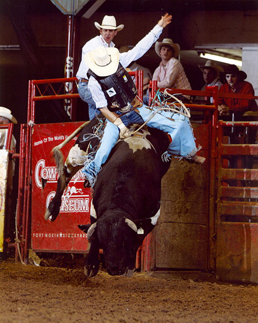 2008 fort worth bull ride