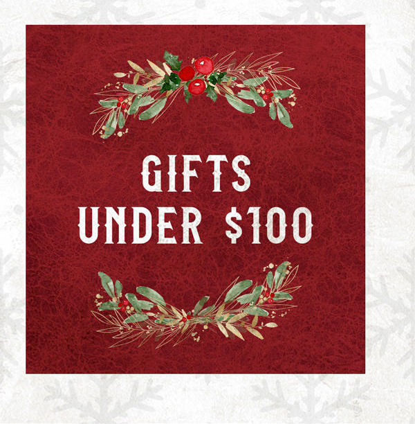 Christmas Gift Ideas Under $100