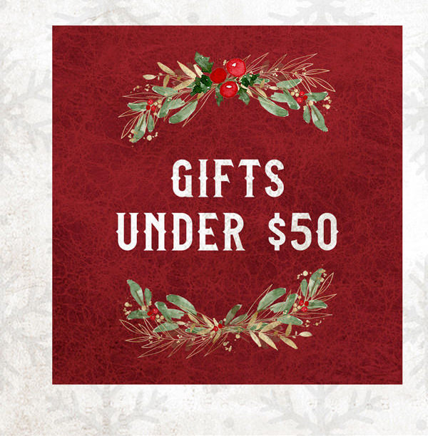 Christmas Gift Ideas Under $50
